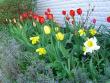 tn_gallery_9939_452_20162.jpg