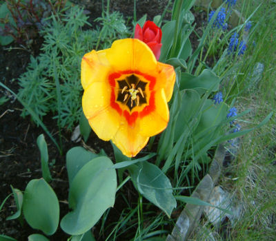 gallery_7440_475_10374.jpg