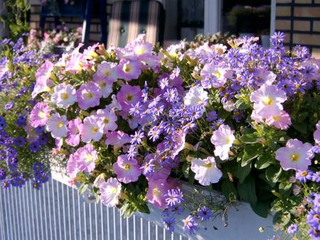 gallery_10082_477_349676.jpg