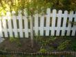 tn_gallery_941_399_20114.jpg