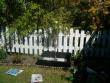 tn_gallery_941_399_97988.jpg