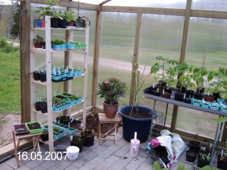 gallery_8540_234_67797.jpg