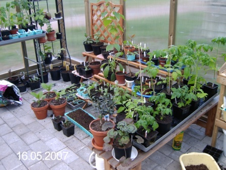gallery_8540_234_68787.jpg