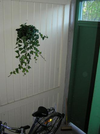 gallery_3710_222_7090.jpg