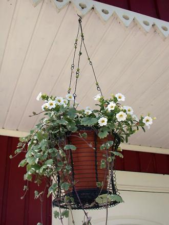 gallery_5285_488_69484.jpg