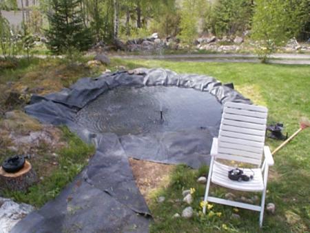 gallery_7358_491_124513.jpg