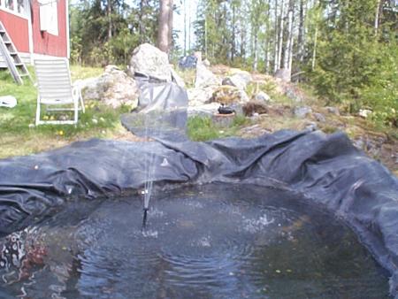 gallery_7358_491_18662.jpg