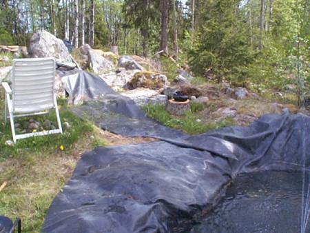 gallery_7358_491_21469.jpg