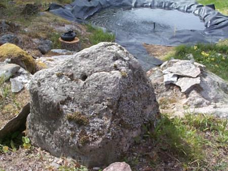 gallery_7358_491_77837.jpg