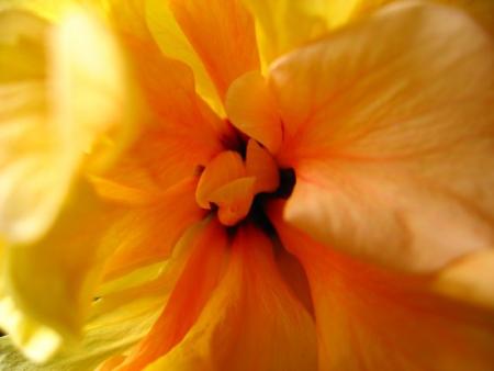 gallery_4113_189_5418.jpg