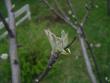 tn_gallery_3388_493_20768.jpg