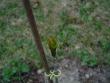 tn_gallery_3388_493_22923.jpg