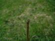 tn_gallery_3388_493_5440.jpg