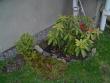 tn_gallery_3388_493_63635.jpg