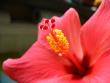 tn_gallery_4113_189_10495.jpg