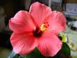 tn_gallery_4113_189_34738.jpg