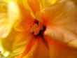 tn_gallery_4113_189_5418.jpg