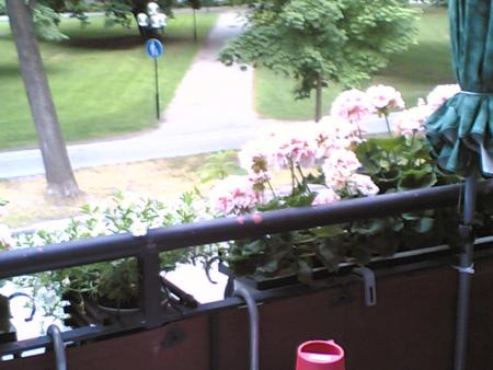 gallery_10397_498_104832.jpg