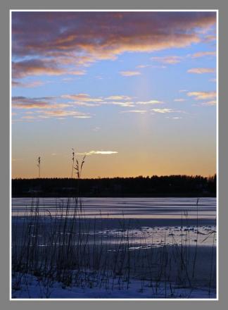 gallery_9233_463_6611.jpg