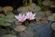 tn_gallery_5447_20_8607.jpg