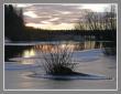 tn_gallery_9233_463_56047.jpg