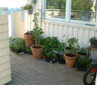 gallery_7440_124_49255.jpg