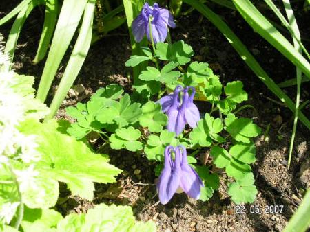 gallery_5587_407_28325.jpg