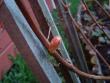 tn_gallery_3388_519_6729.jpg