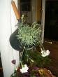 tn_gallery_941_137_172188.jpg
