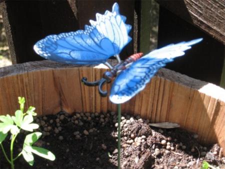 gallery_10609_513_37926.jpg