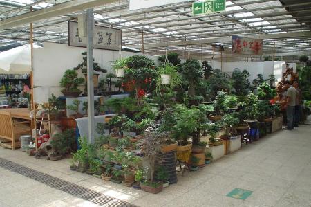 gallery_9639_524_121070.jpg