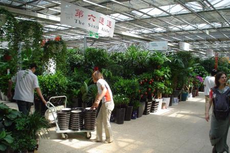 gallery_9639_524_24000.jpg