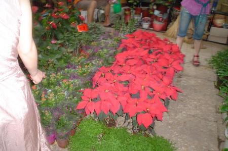gallery_9639_524_79408.jpg