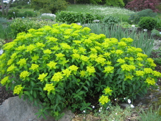 gallery_4383_531_21919.jpg