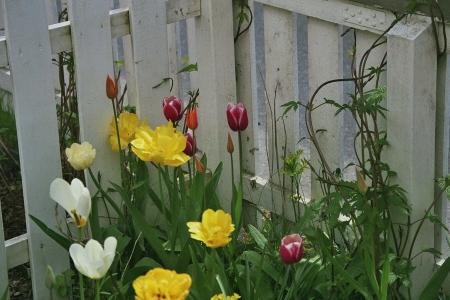 gallery_10307_439_218592.jpg