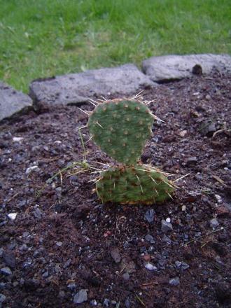 gallery_3388_530_5731.jpg
