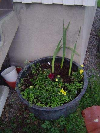 gallery_3388_530_58201.jpg