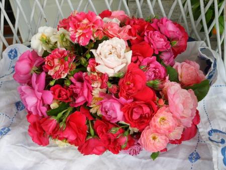 gallery_5307_5_75384.jpg