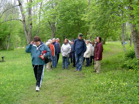 gallery_4545_541_422364.jpg