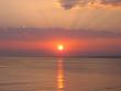 tn_gallery_7918_549_4204.jpg