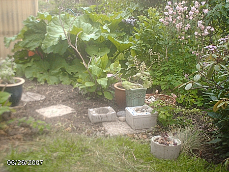 gallery_9461_278_116822.jpg