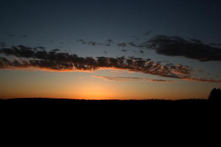 gallery_4816_75_29558.jpg