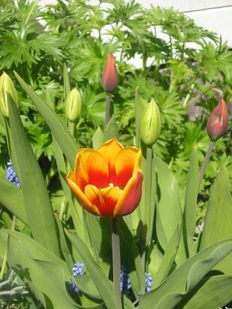 gallery_5006_557_23271.jpg