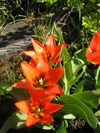 gallery_5006_557_77396.jpg
