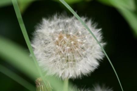 gallery_5447_21_13909.jpg