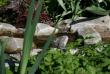 tn_gallery_5447_28_44685.jpg