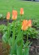 tn_gallery_9983_292_85669.jpg