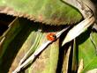 tn_gallery_5447_461_47656.jpg