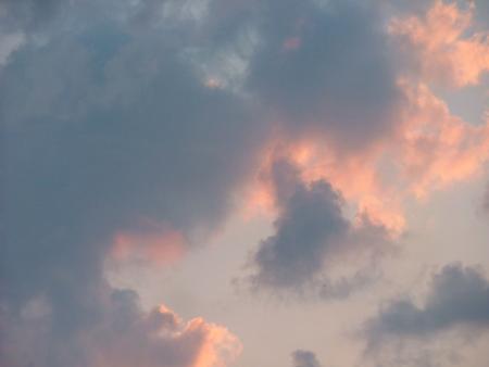 gallery_3347_576_56130.jpg