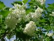 tn_gallery_3347_576_23163.jpg